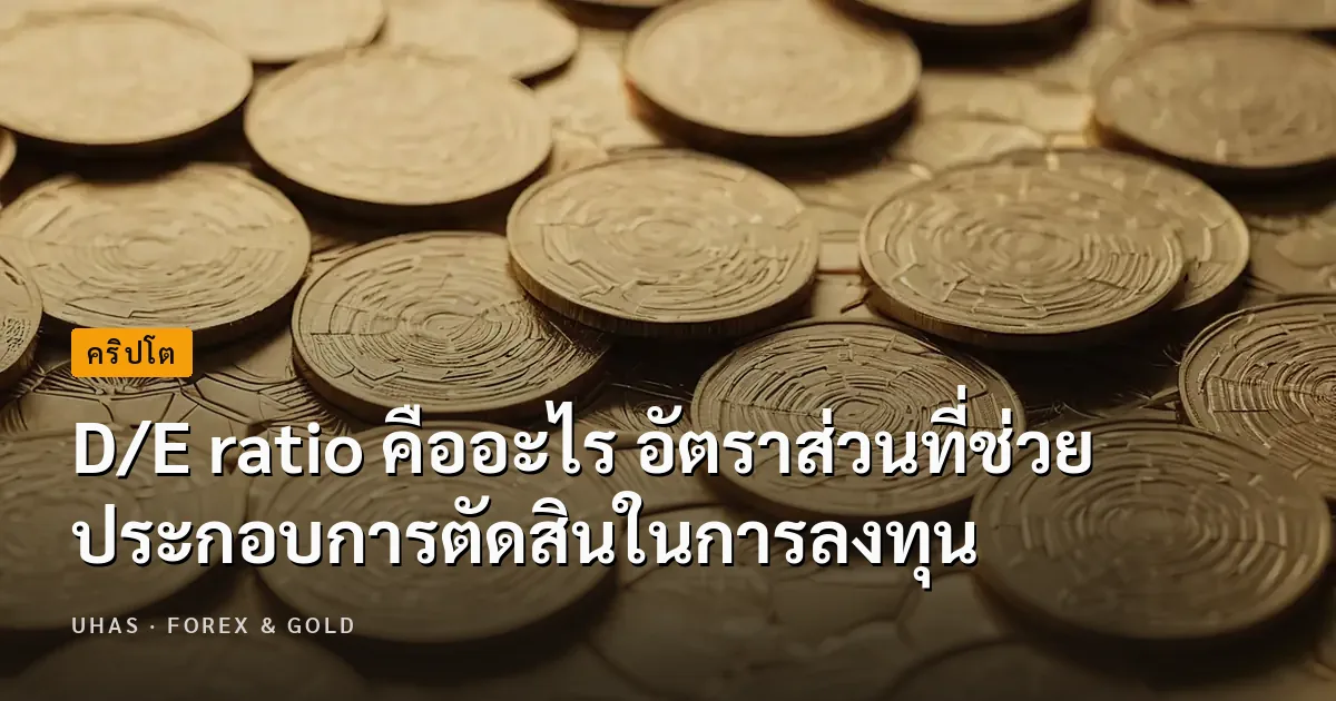 D/E ratio คืออะไร กับอัตราส่วนที่ช่วยประกอบการตัดสินในการ...