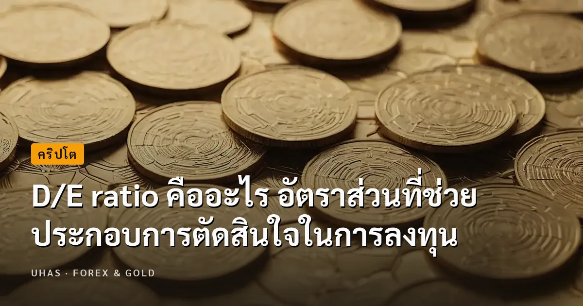 D/E ratio คืออะไร กับอัตราส่วนที่ช่วยประกอบการตัดสินใจในการลงทุน