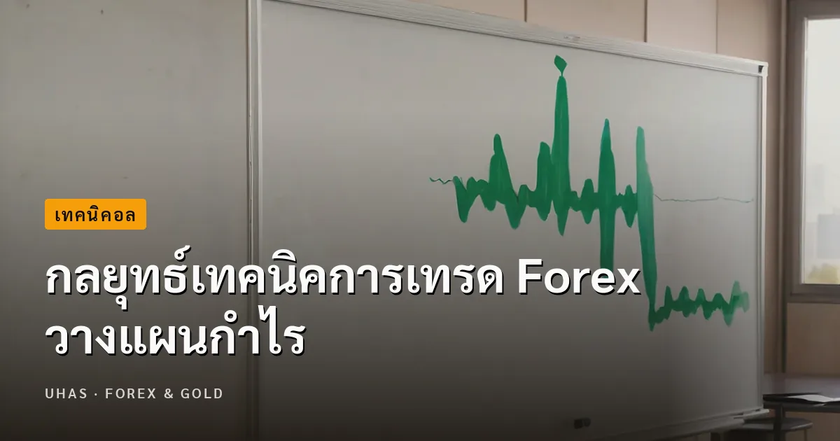 กลยุทธ์เทคนิคการเทรด Forex วางแผนกำไร