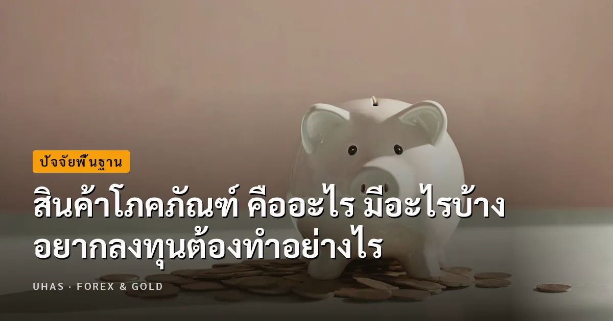 สินค้าโภคภัณฑ์ คืออะไร ทำความเข้าใจ ก่อนเริ่มต้นลงทุน