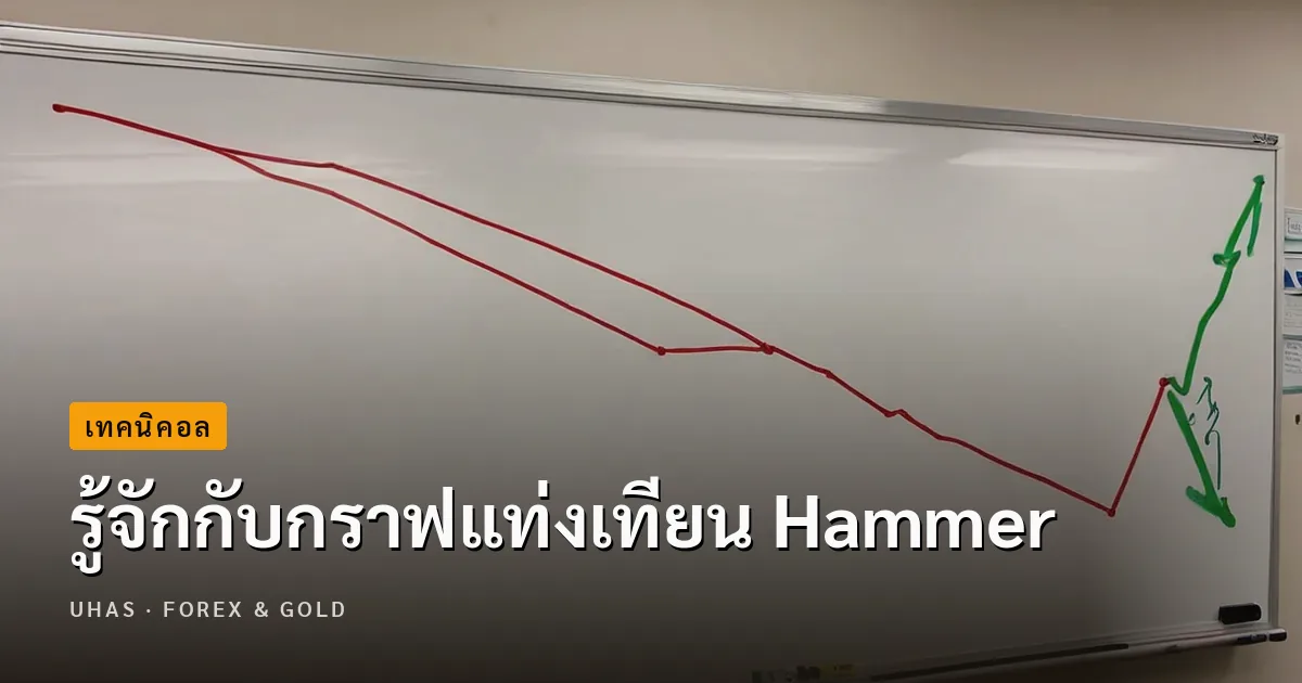กราฟแท่งเทียน Hammer คืออะไร ใช้วัดอะไรในการเทรด Forex