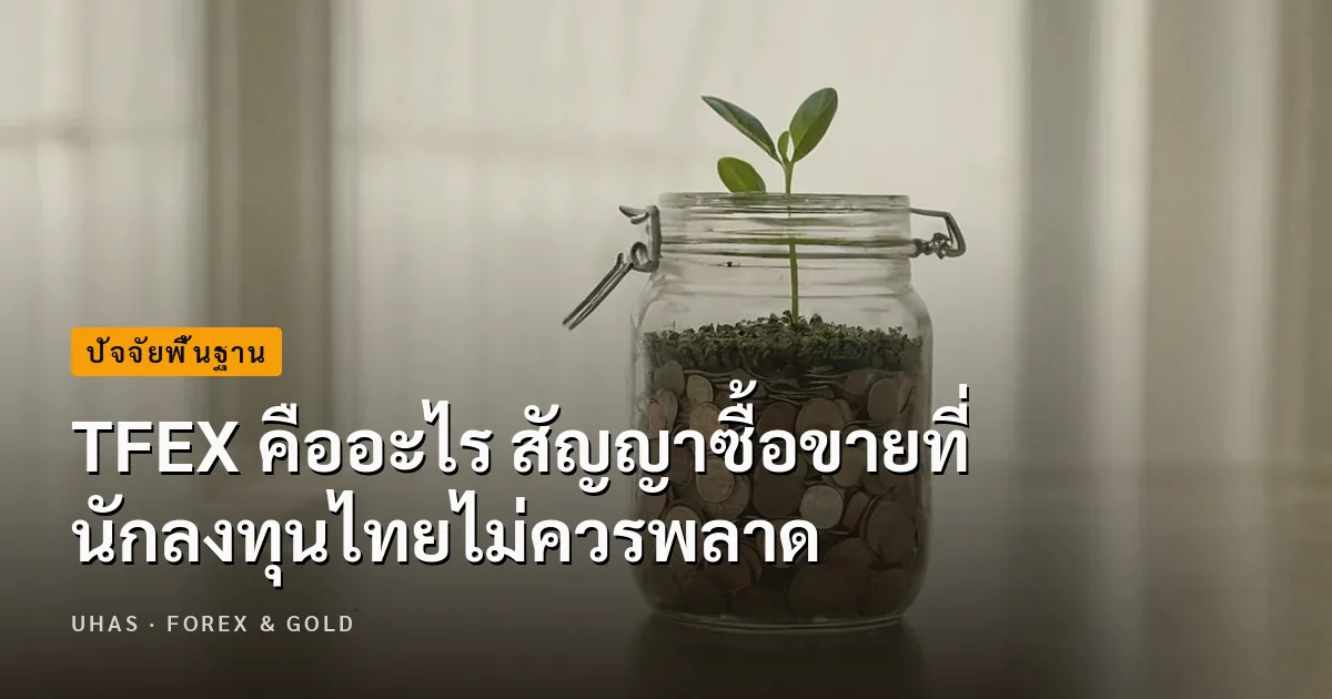 TFEX คืออะไร สัญญาซื้อขายที่นักลงทุนไทยไม่ควรพลาด