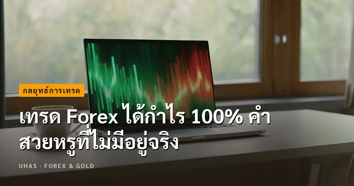 เทรด Forex ได้กำไร 100% คำสวยหรูที่ไม่มีอยู่จริง