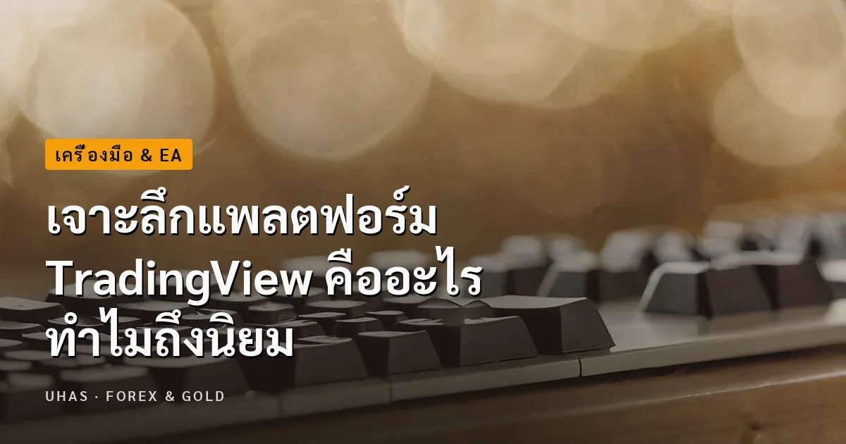 TradingView คืออะไร ทำไมเป็นแพลตฟอร์มที่ได้รับความนิยม