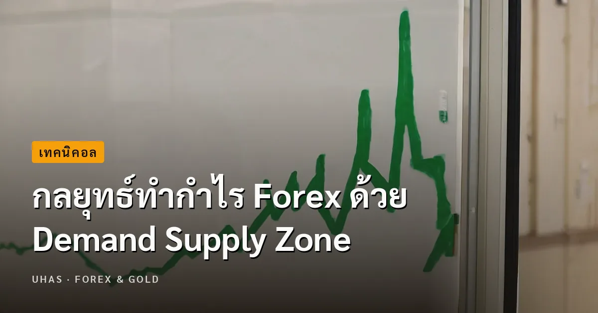กลยุทธ์ทำกำไร Forex ด้วย Demand Supply Zone
