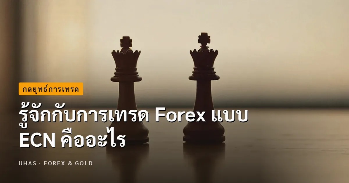 การเทรด Forex แบบ ECN คืออะไร ทำไมถึงน่าสนใจ