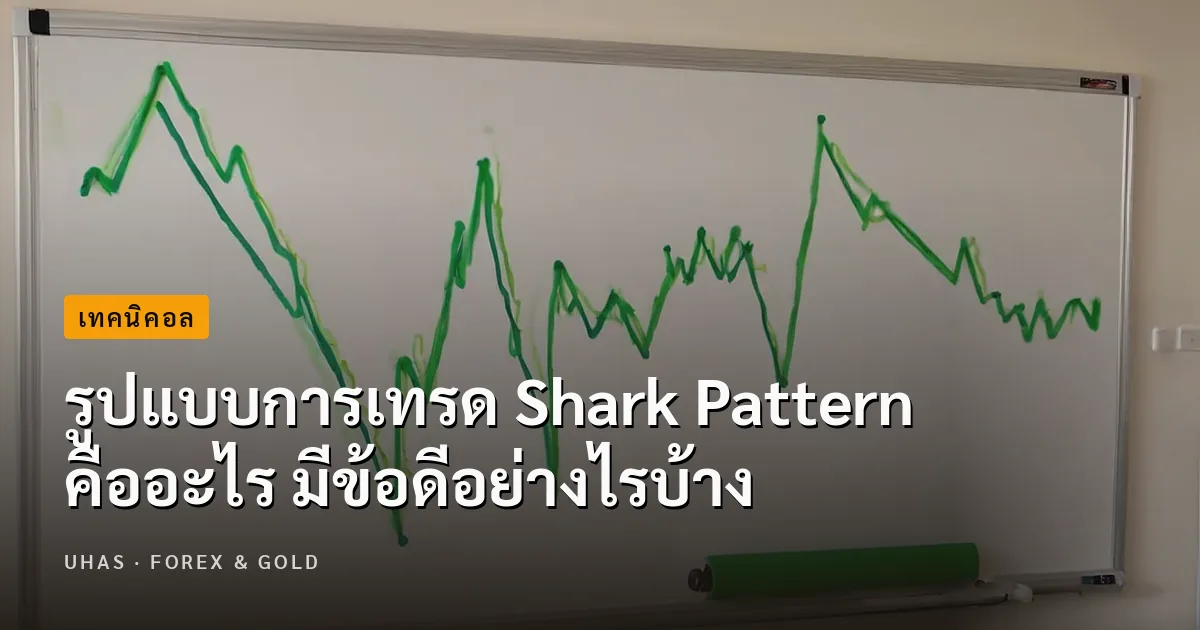 Shark Pattern คืออะไรในการเทรด Forex กับข้อดีที่ต้องรู้ก่อน