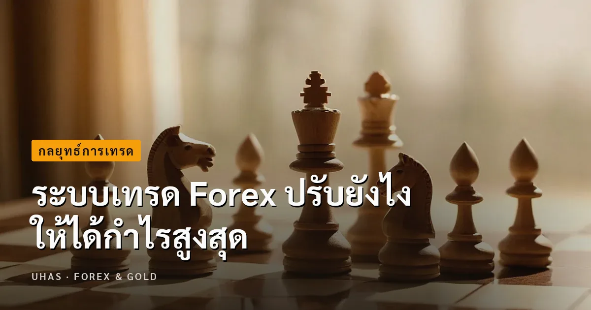 ระบบเทรด Forex ปรับยังไง ให้ได้กำไรสูงสุด