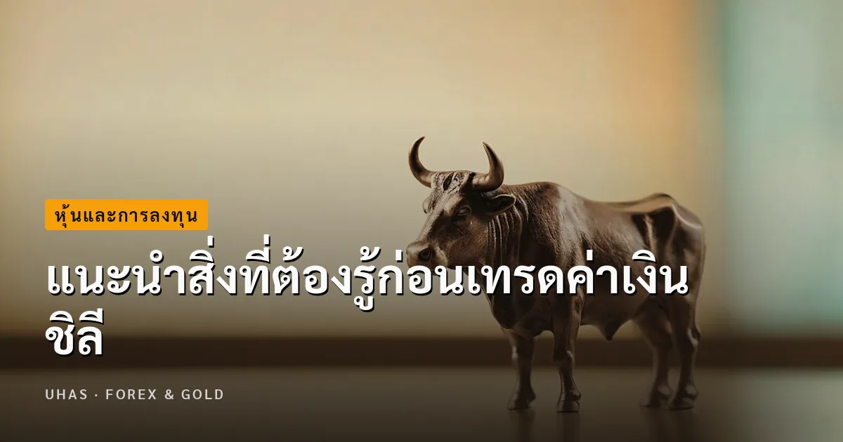 รวมสิ่งที่ต้องรู้ ก่อนลงทุนค่าเงินชิลี