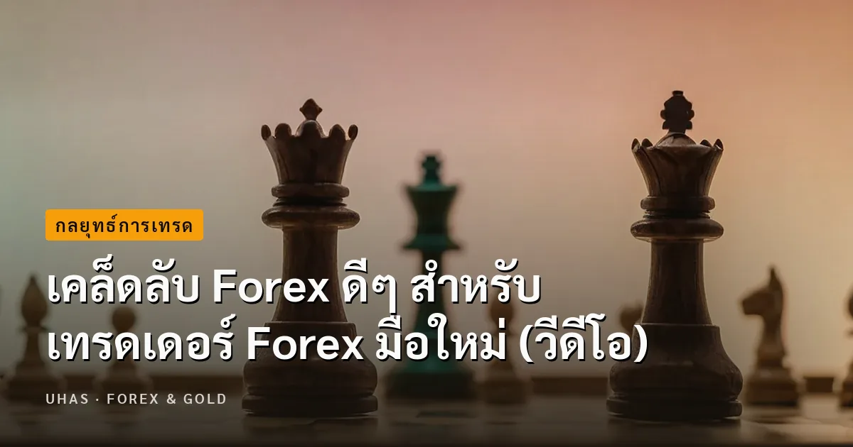 เคล็ดลับ Forex ดีๆ สำหรับเทรดเดอร์ Forex มือใหม่