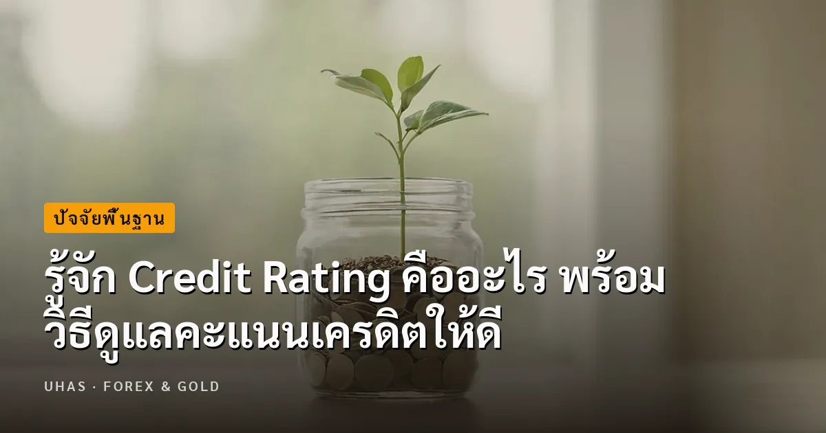 Credit Rating คืออะไร วิธีเช็กและดูแลคะแนนเครดิตให้ดีขึ้น