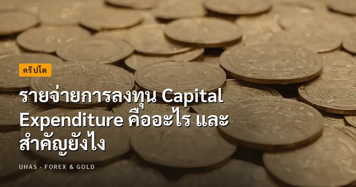 ทำความรู้จัก "รายจ่ายการลงทุน" หรือ Capital Expenditure ค...