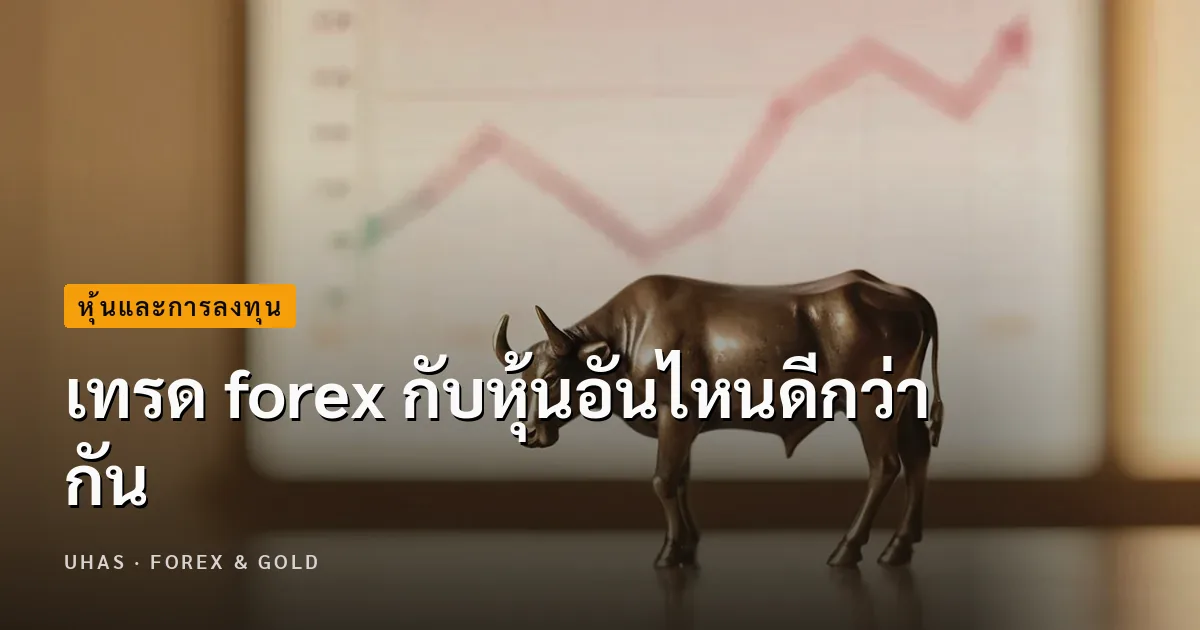 เทรด forex กับหุ้นอันไหนดีกว่ากัน เลือกยังไงดี | Uhas.com