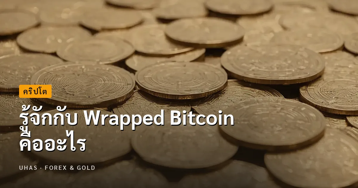 Wrapped Bitcoin และ Token คืออะไร มีจุดเด่นอะไรบ้าง