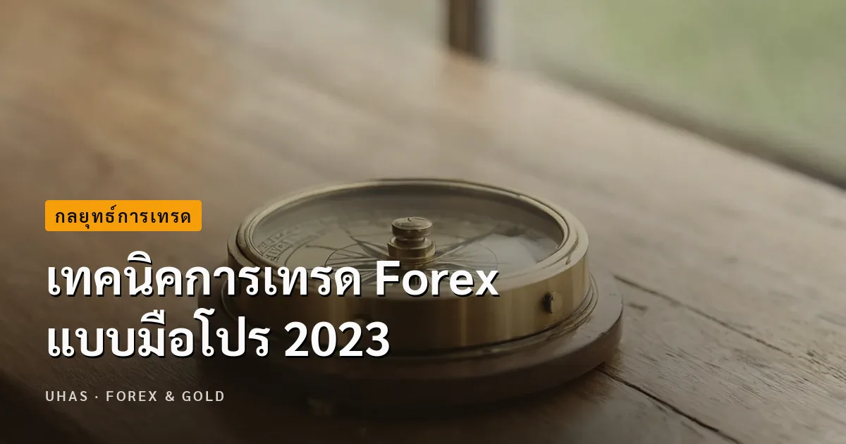 อัปเดต 5 เทคนิคการเทรด Forex แบบมือโปร 2023