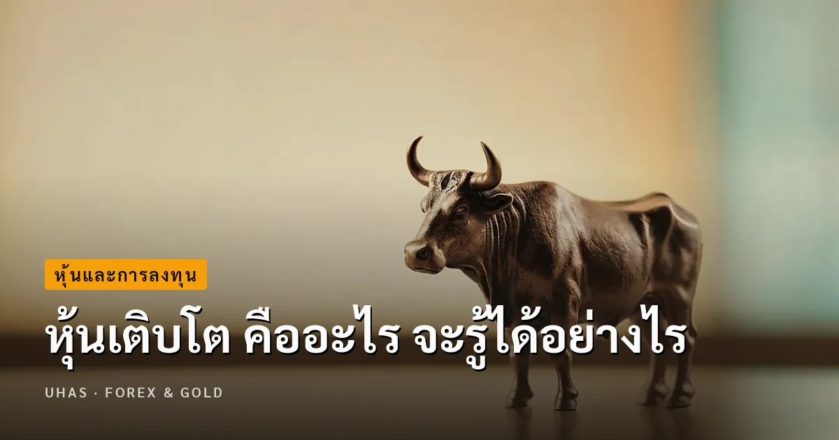 ไขข้อสงสัย หุ้นเติบโต คืออะไร มีวิธีดูยังไง