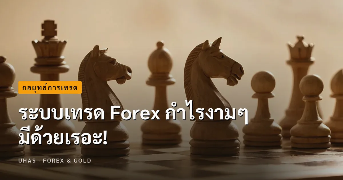 ระบบเทรด Forex กำไรงามๆ มีด้วยเรอะ!