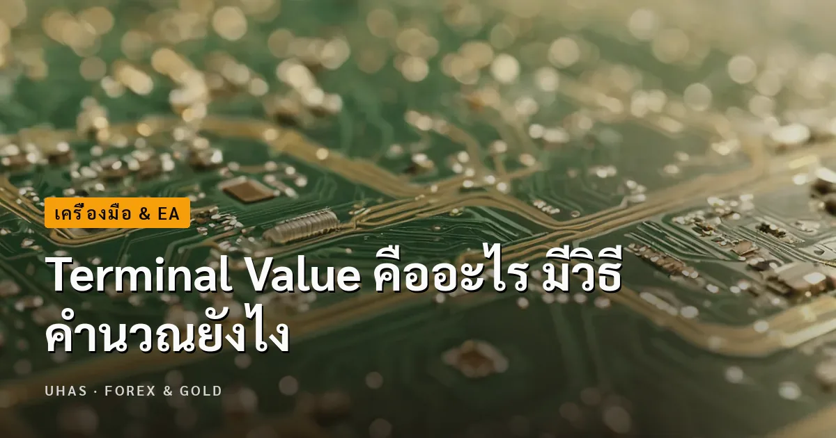 ทำความเข้าใจกับความหมายของ Terminal Value คืออะไร