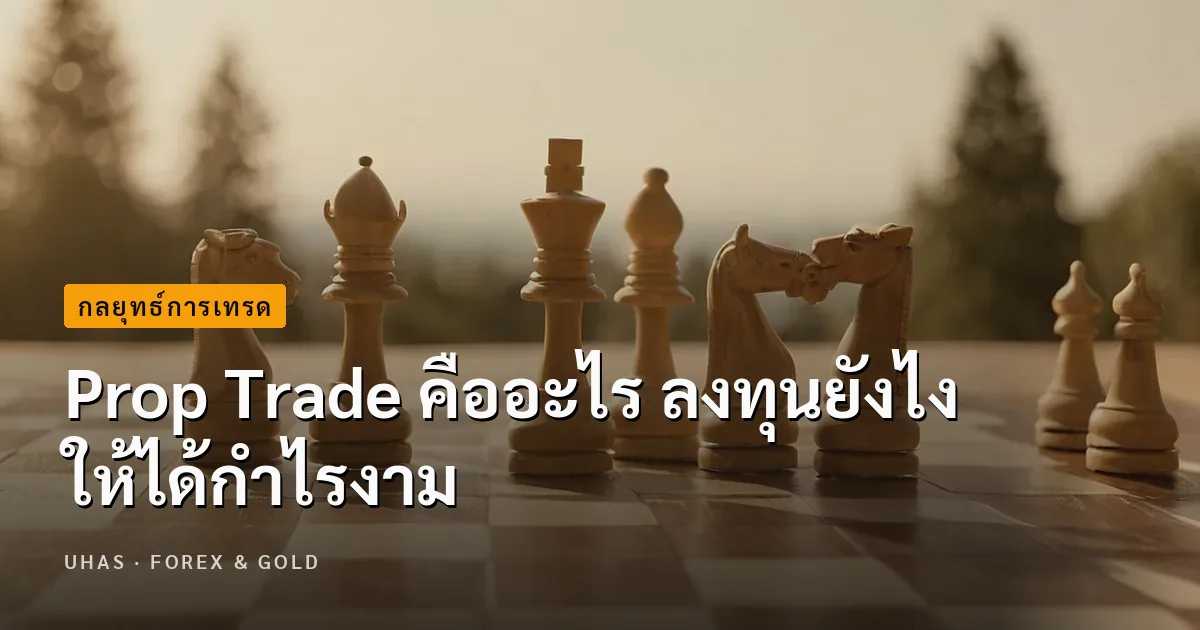 มือใหม่ต้องรู้ Prop Trade คืออะไร