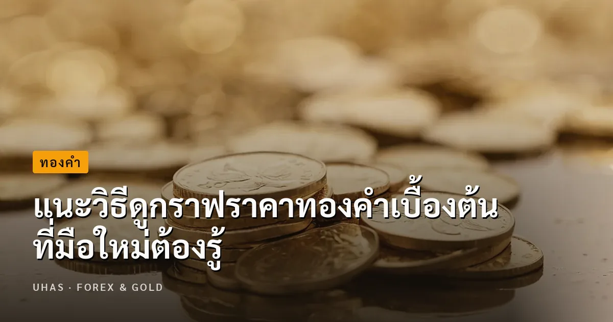 มือใหม่หัดเทรดต้องดู วิธีดูกราฟราคาทองเบื้องต้นที่ควรรู้