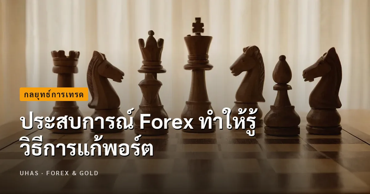 ประสบการณ์ Forex ทำให้รู้วิธีการแก้พอร์ต