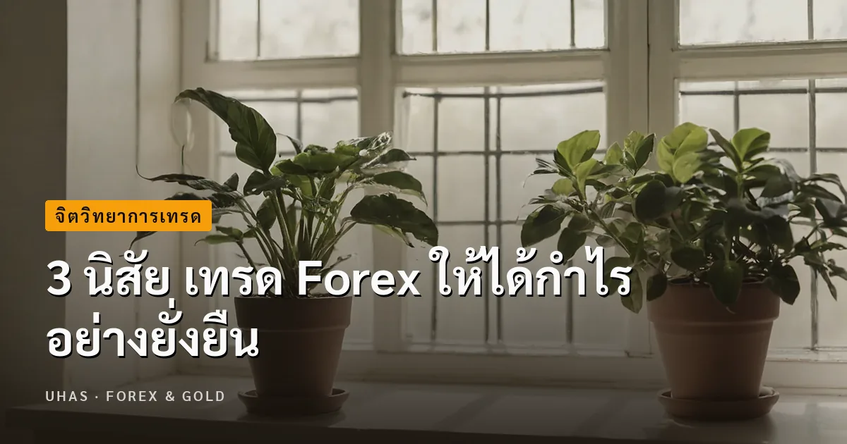 3 นิสัย เทรด Forex ให้ได้กำไร อย่างยั่งยืน