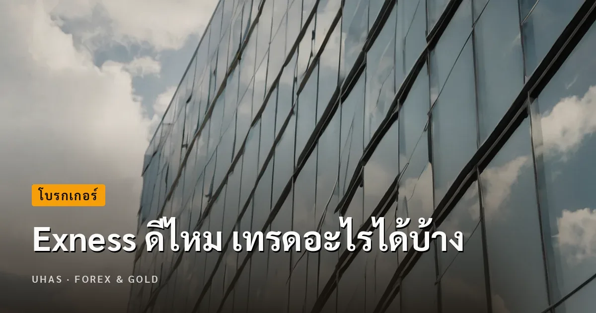 Exness Trader ดีไหม? พร้อมเหตุผลที่ควรเทรดกับ Exness