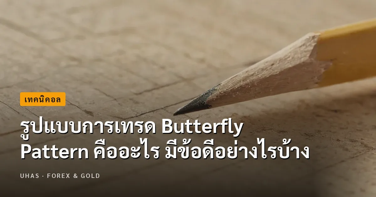 Butterfly Pattern คืออะไร ทำไมถึงเป็นรูปแบบที่นิยมในการเทรด