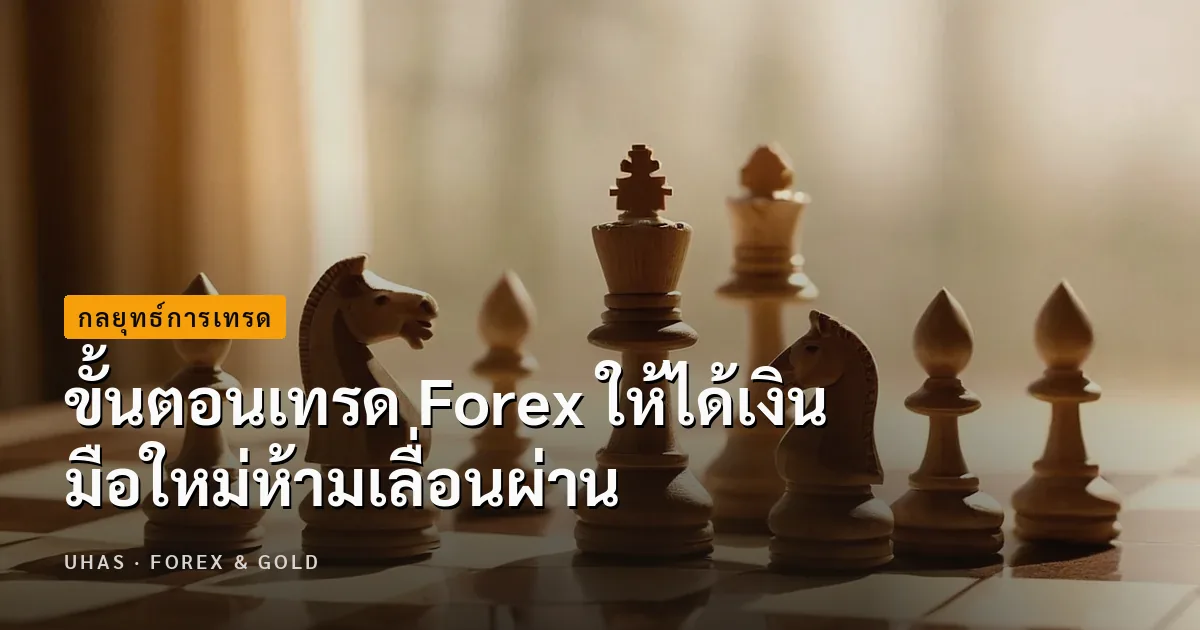 ขั้นตอนเทรด Forex ให้ได้เงิน มือใหม่ห้ามเลื่อนผ่าน