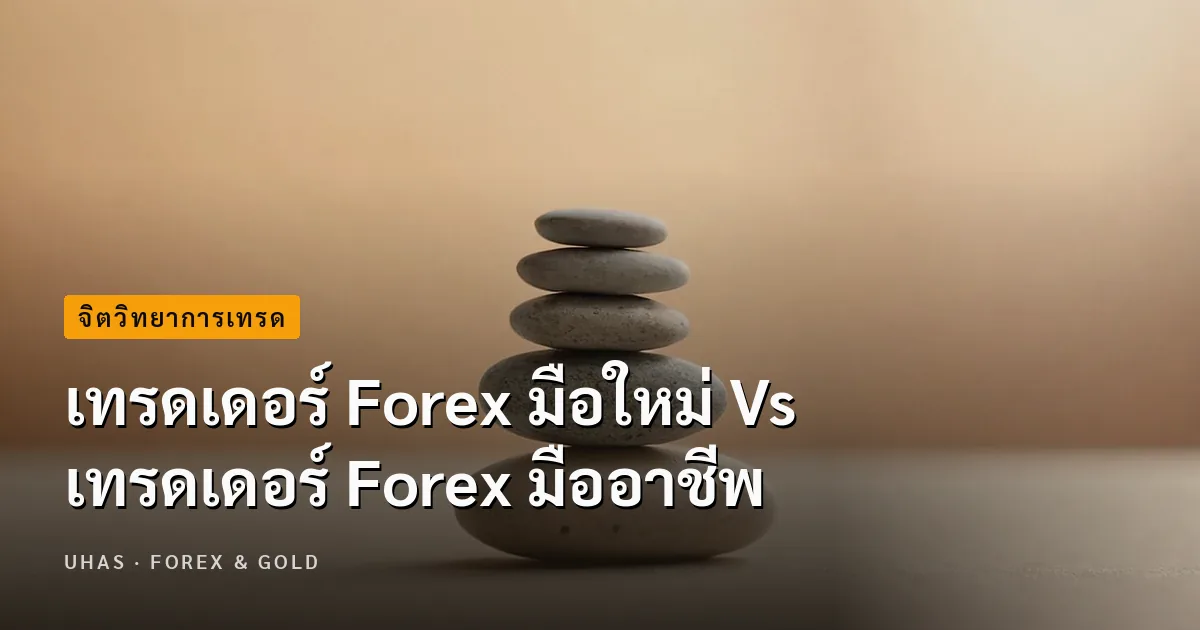 เทรดเดอร์ Forex มือใหม่ Vs เทรดเดอร์ Forex มืออาชีพ
