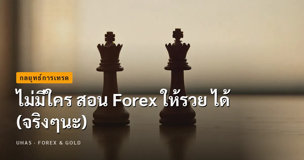 forex สอน ไม่มีใคร สอน Forex ให้รวย ได้