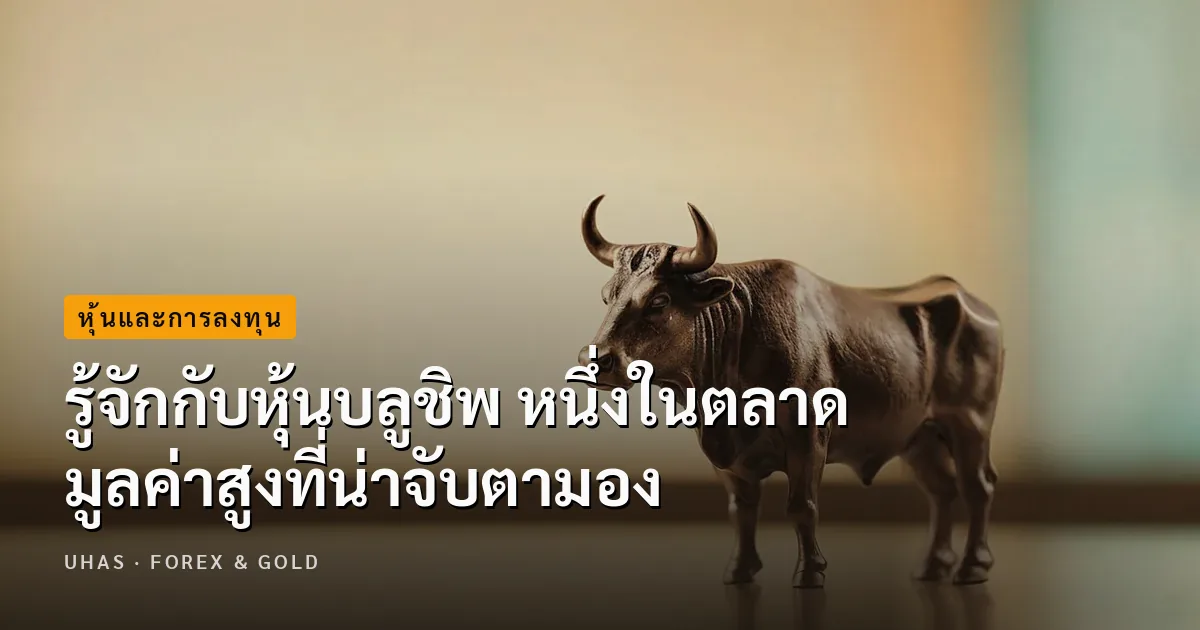 ทำความรู้จักกับหุ้นบลูชิพ มูลค่าน่าลงทุนประดับพอร์ต