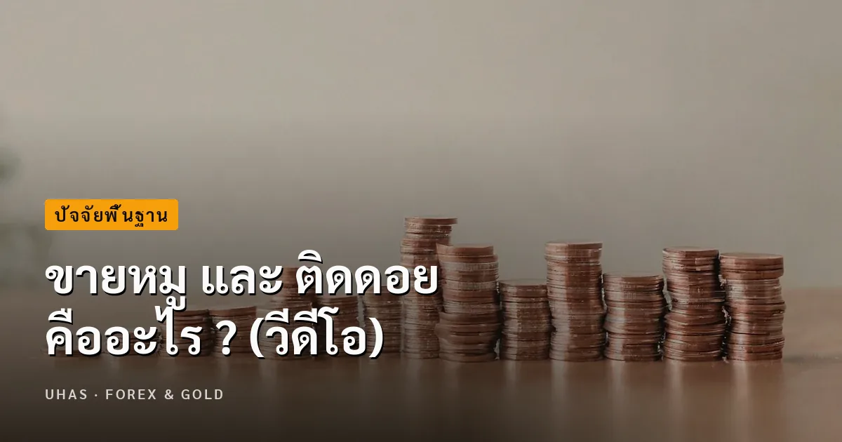 ขายหมู และ ติดดอย คืออะไร ?
