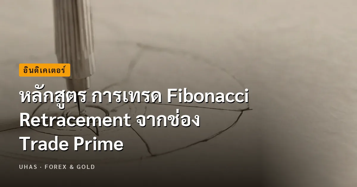 หลักสูตร การเทรด Fibonacci Retracement จากช่อง Trade Prime