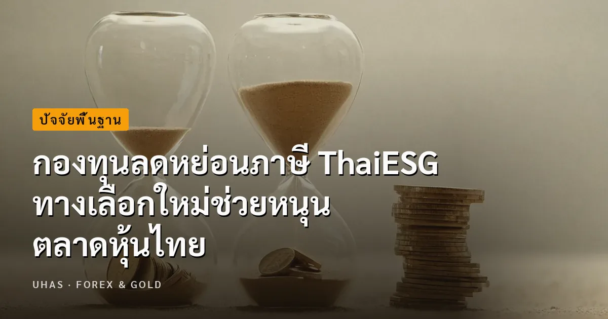กองทุนลดหย่อนภาษี ThaiESG คืออะไร เหมาะกับนักลงทุนแบบไหน