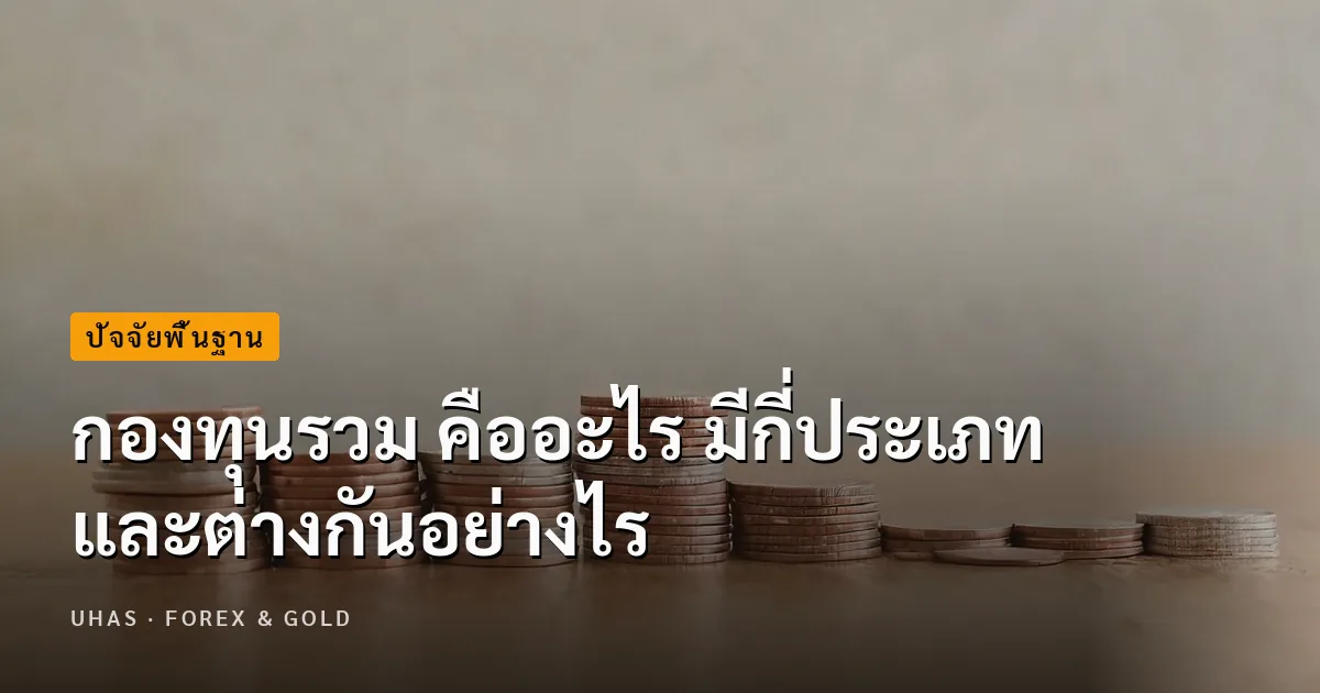 กองทุนรวม คืออะไร มีกี่ประเภท และควรเลือกลงทุนกองทุนรวมอย...