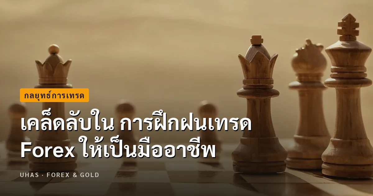 เคล็ดลับใน การฝึกฝนเทรด Forex ให้เป็นมืออาชีพ