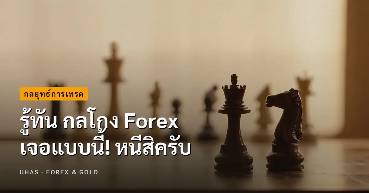 รู้ทัน กลโกง Forex เจอแบบนี้! หนีสิครับ