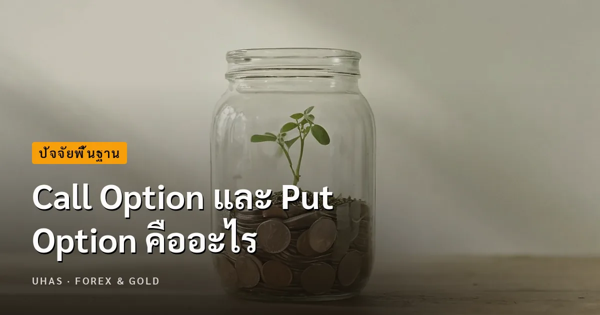 Call Option และ Put Option คืออะไร