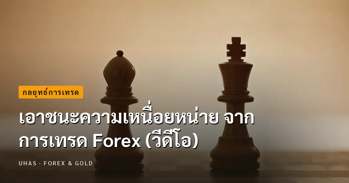 เอาชนะความเหนื่อยหน่าย จาก การเทรด Forex