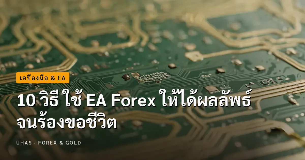 10 วิธี ใช้ EA เทรด Forex ให้ได้ผลลัพธ์ จนร้องขอชีวิต