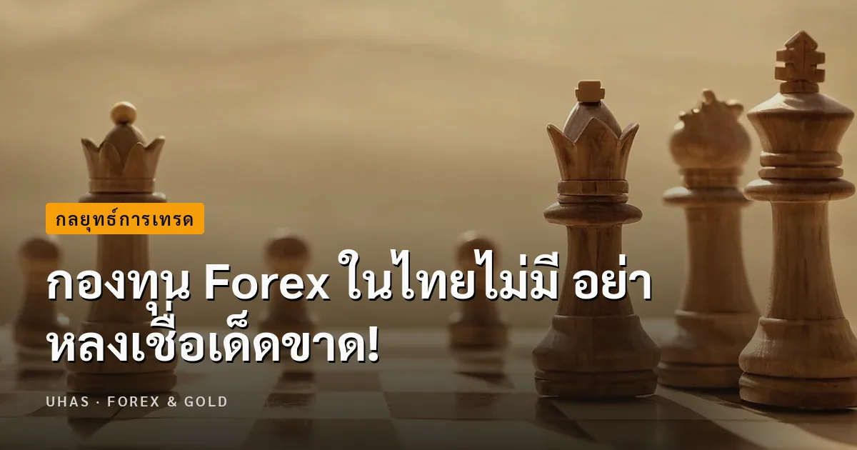 กองทุน Forex ในไทยไม่มี อย่าหลงเชื่อเด็ดขาด!