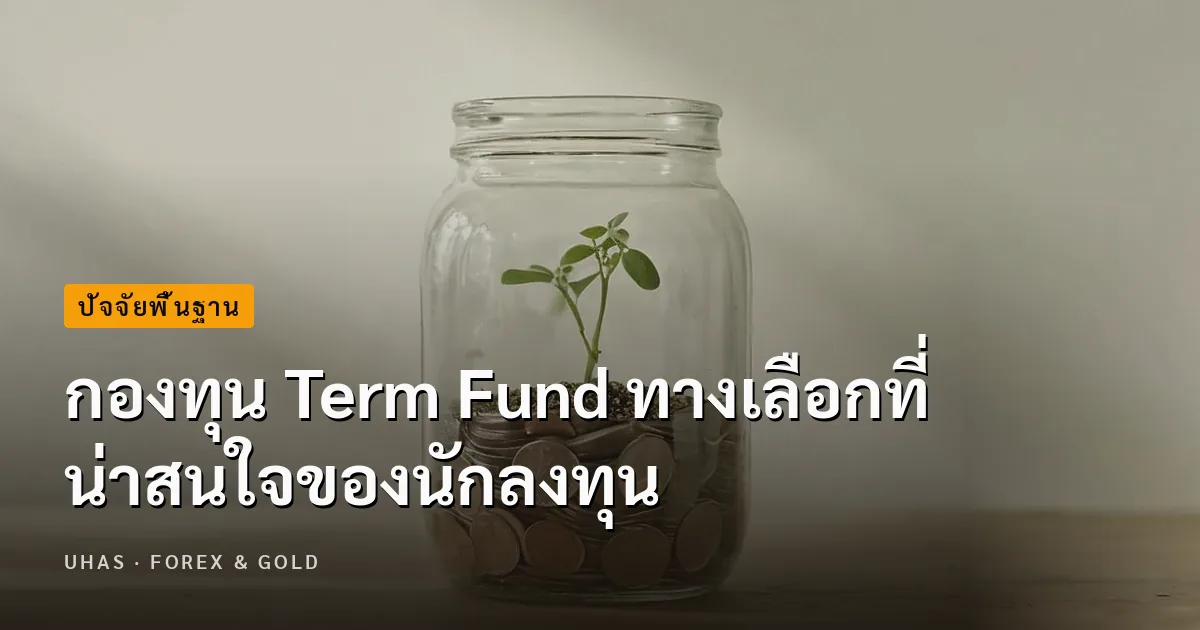 รู้จักกองทุน Term Fund อีกหนึ่งทางเลือกที่นักลงทุนต้องรู้
