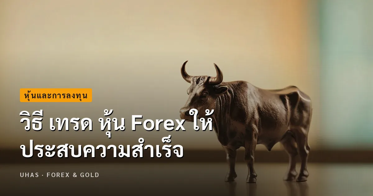 วิธี เทรด หุ้น Forex ให้ประสบความสำเร็จ