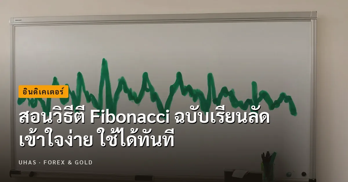 สอนวิธีตี Fibonacci ฉบับเรียนลัด เข้าใจง่าย ใช้ได้ทันที