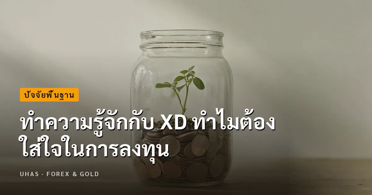 ทำความรู้จักกับ XD คืออะไร ทำไมต้องใส่ใจในการลงทุน