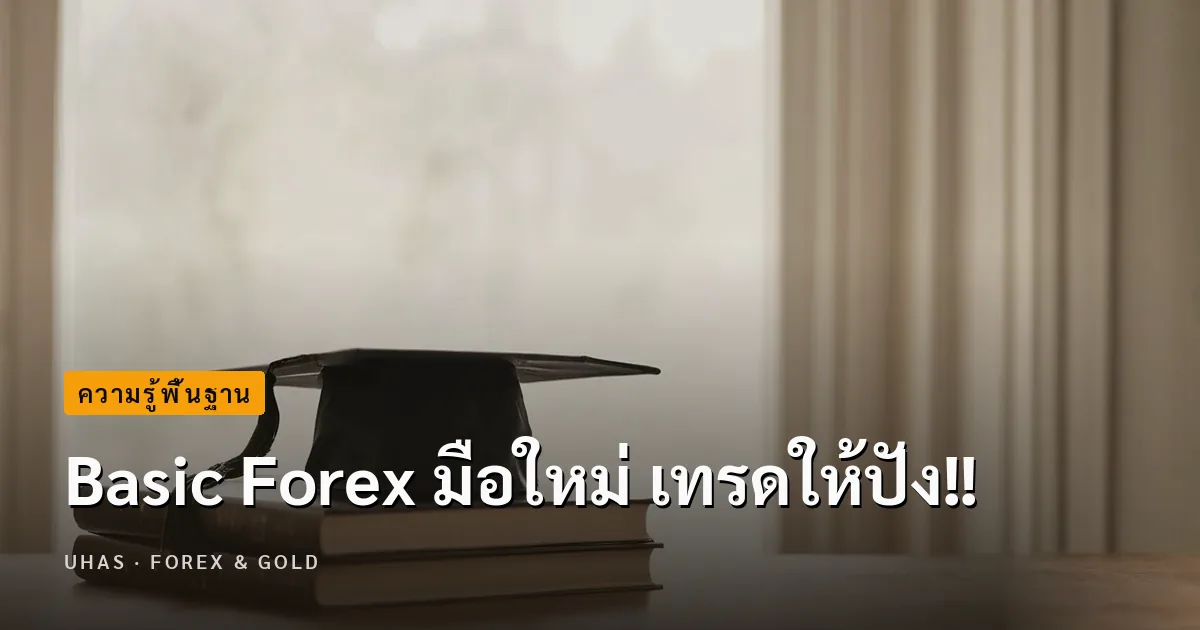 Basic Forex มือใหม่ เทรดให้ปัง!!