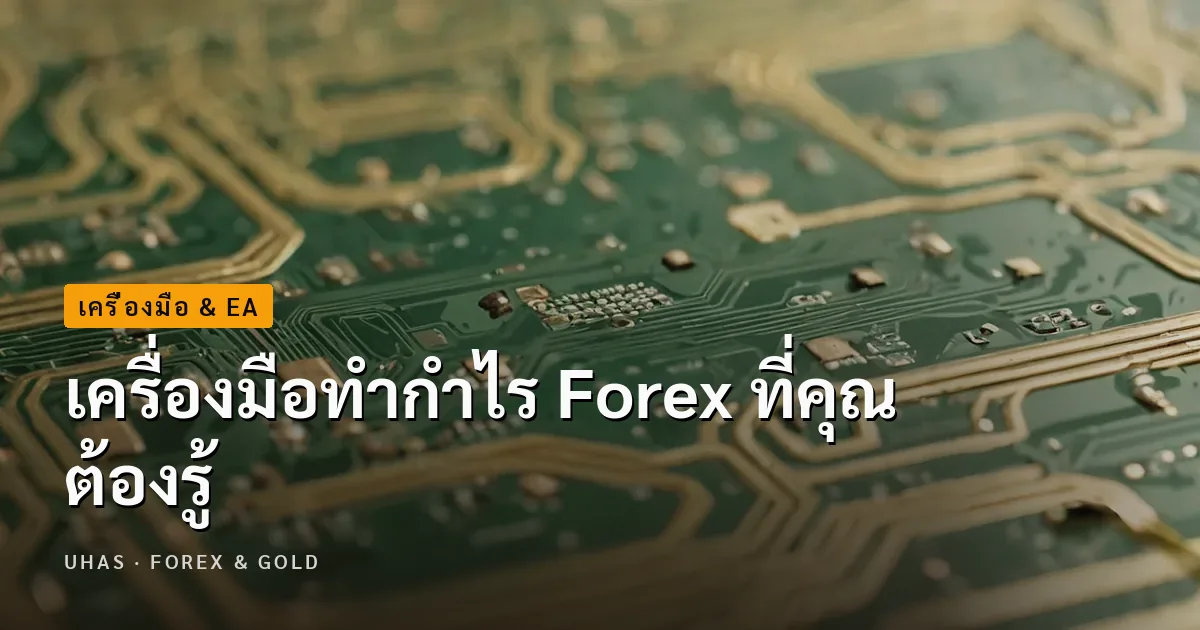 เครื่องมือทำกำไร Forex ที่คุณต้องรู้