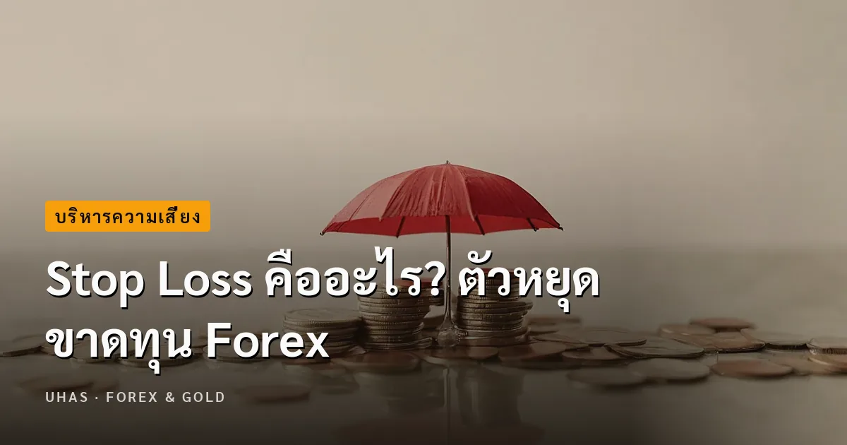 Stop Loss คืออะไร? ตัวหยุดขาดทุน Forex