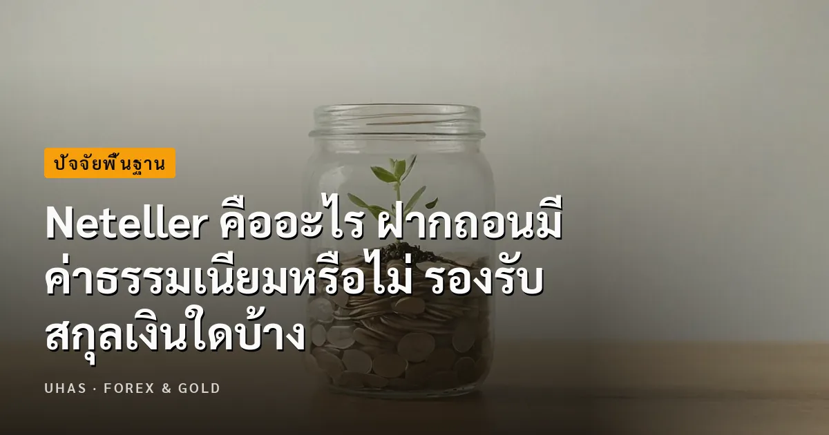 Neteller คืออะไร สมัครอย่างไร รองรับสกุลเงินใดบ้าง